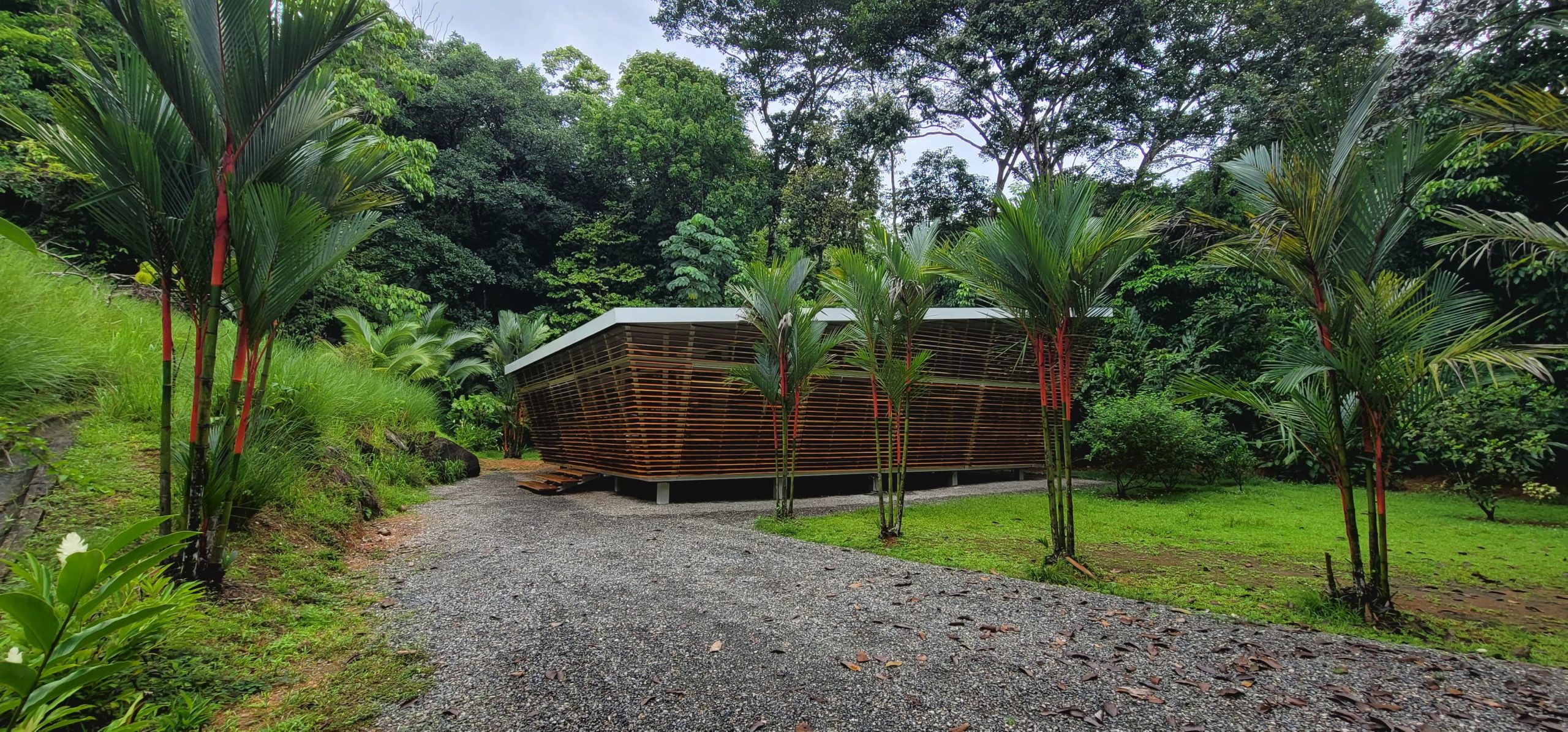 WhatsApp Image 2024-10-29 at 11.16.52 PM